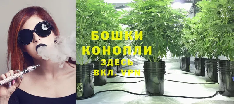 мега вход  магазин    Вилючинск  МАРИХУАНА Ganja 